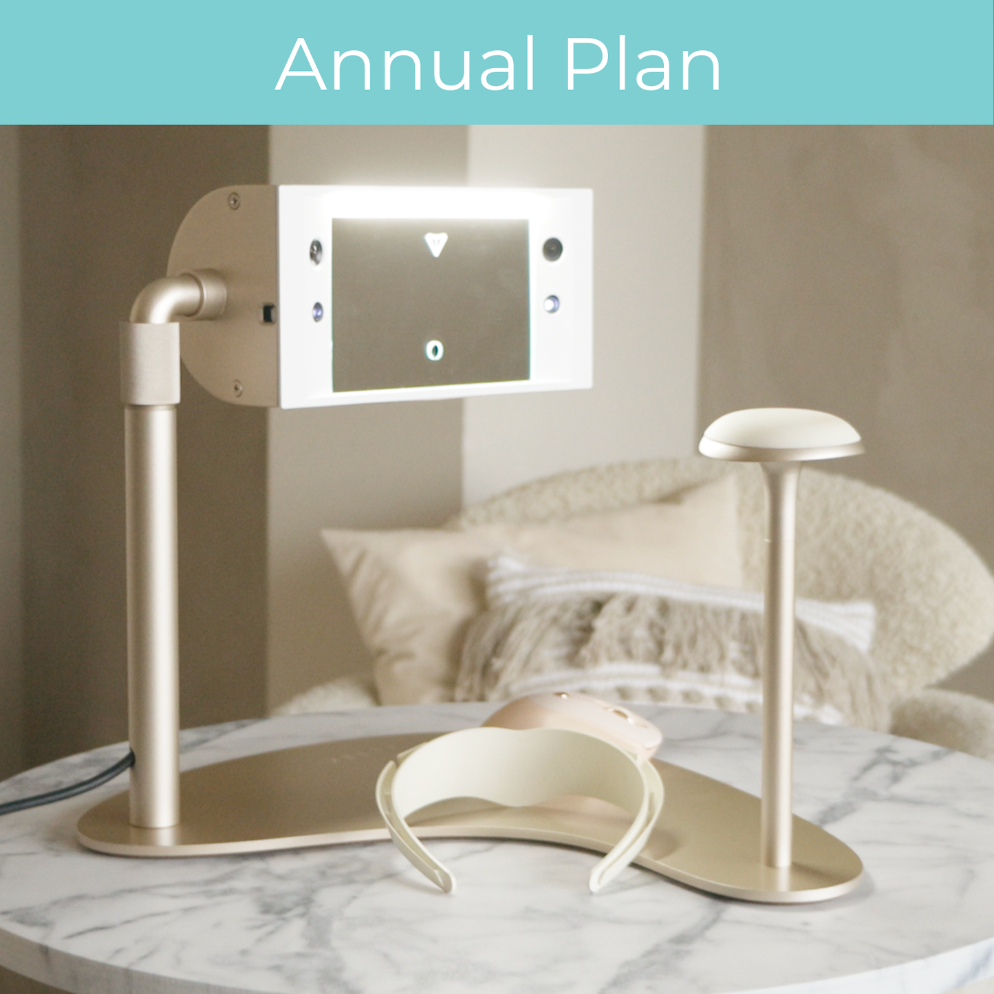 Fleek Light with Annual Plan